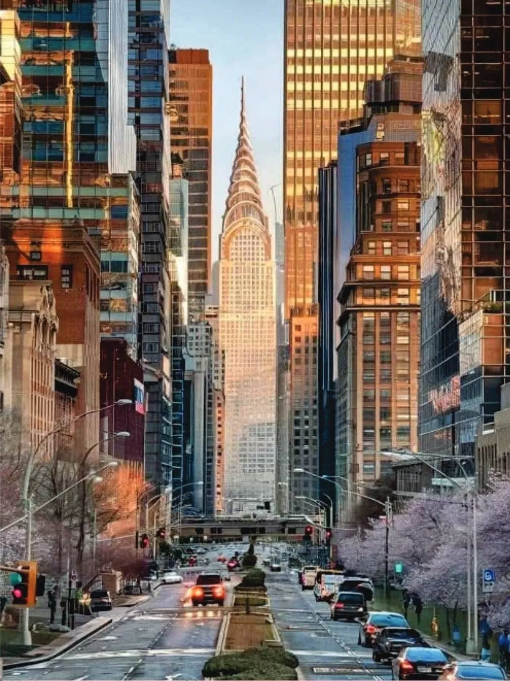 Manhattan avenue lined with cherry blossoms leading to the Chrysler Building