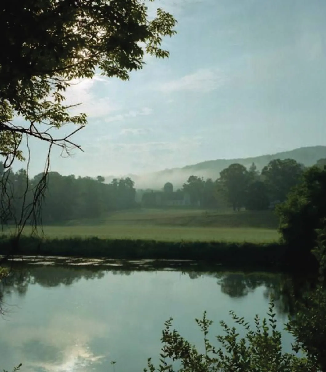 Morning mist over a meadow and still river framed by trees