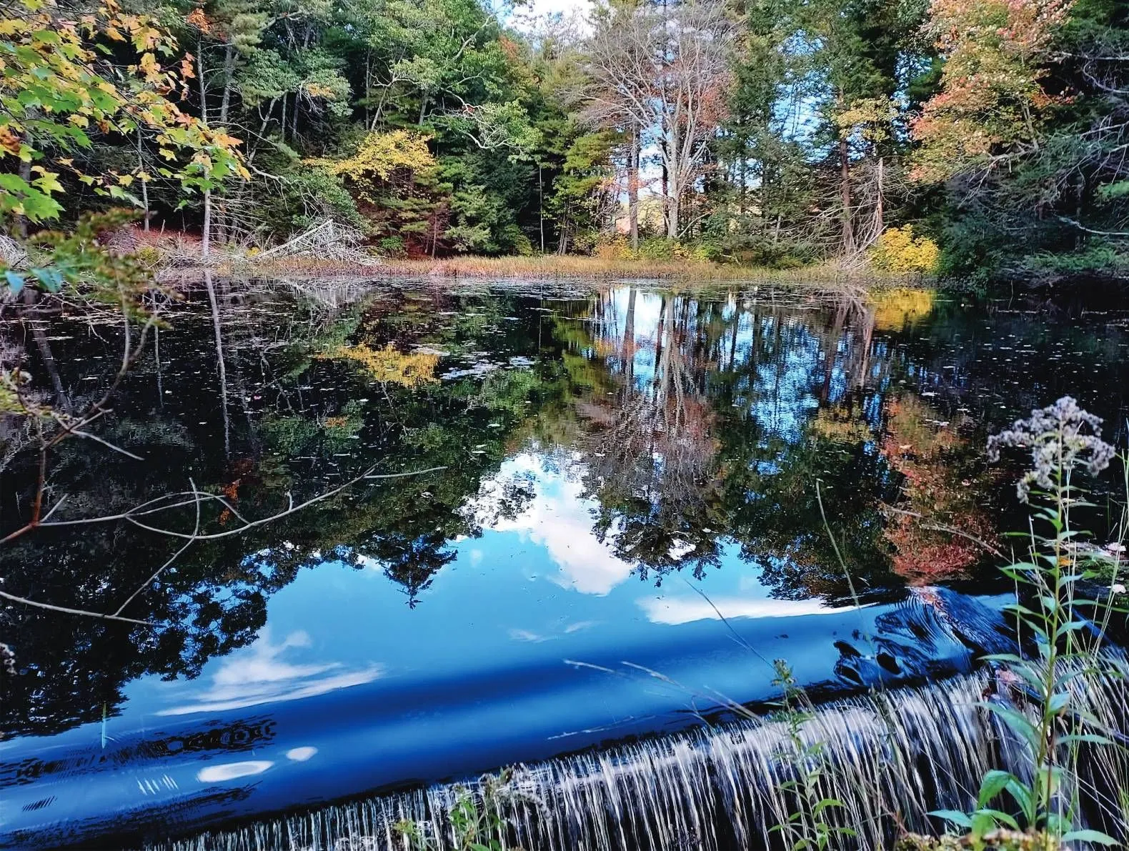 Autumn pond spilling over a small dam beneath reflected trees