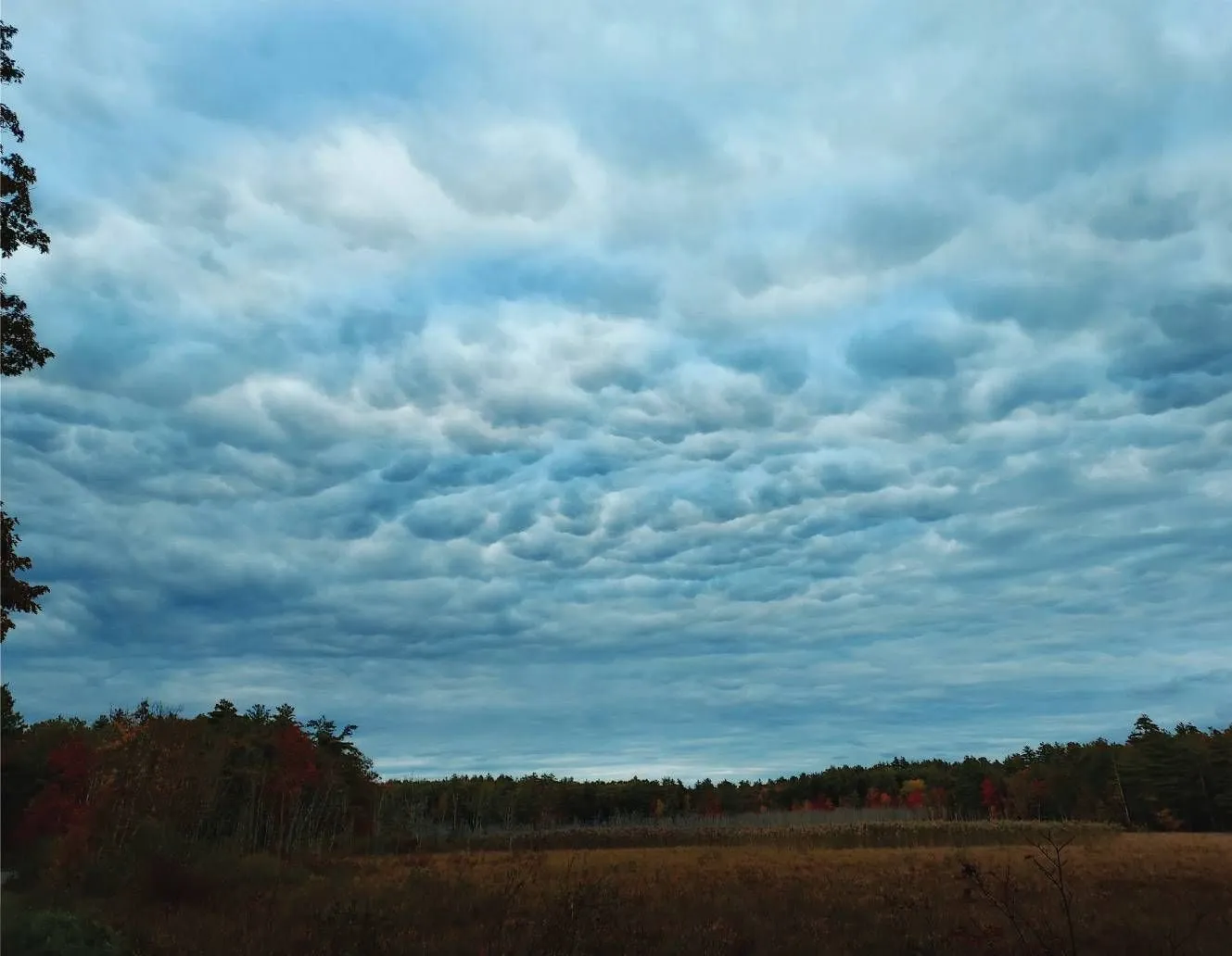 Rippled storm clouds over an open field and distant tree line
